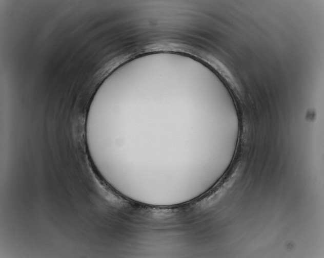 X0000101180849200807250938