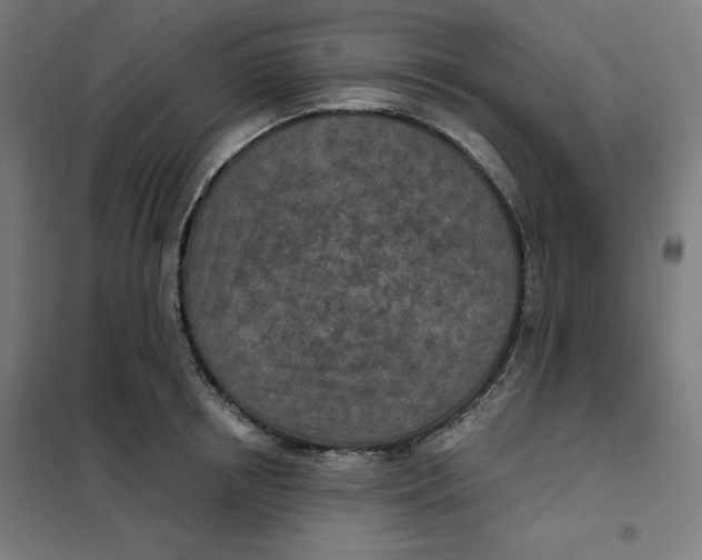 X0000101180850200807250938