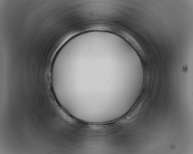 X0000101180852200807250938