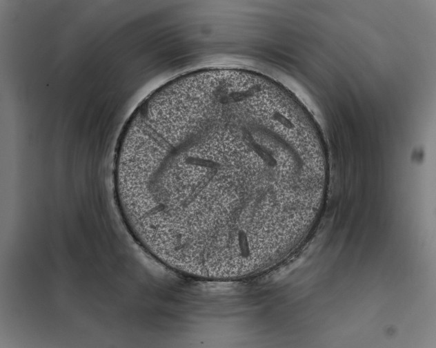 X0000101180853200807250938