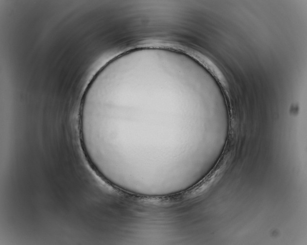 X0000101180855200807250938