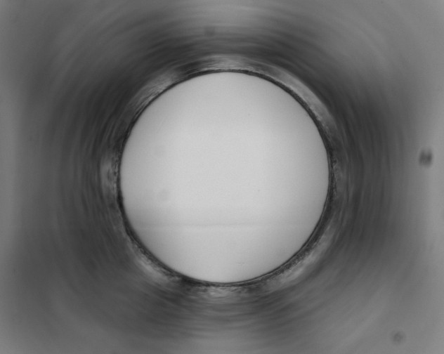 X0000101180857200807250938