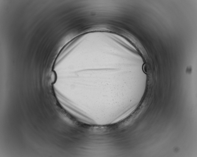 X0000101180858200807250938