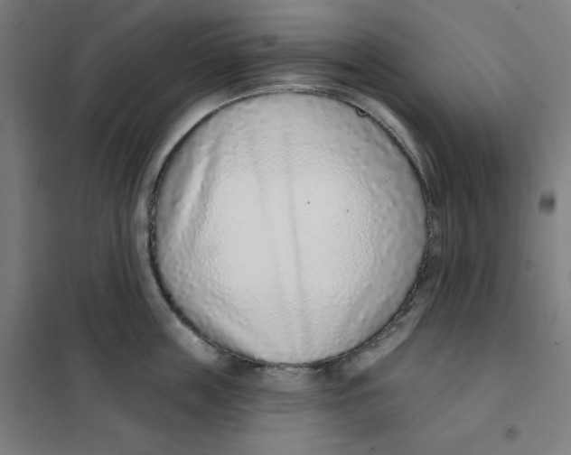 X0000101180859200807250938