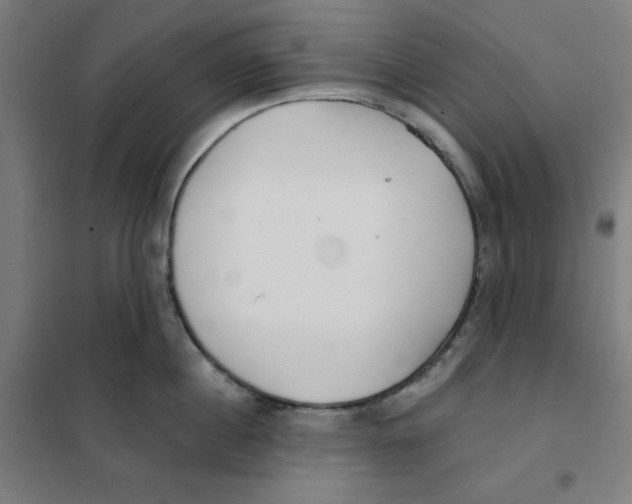 X0000101180860200807250938