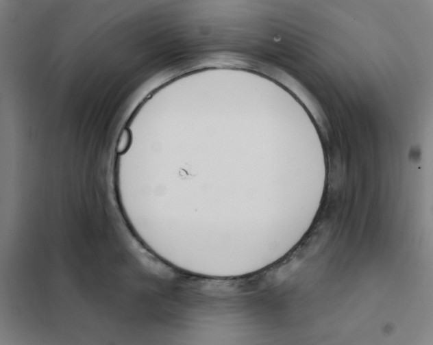 X0000101180861200807250938