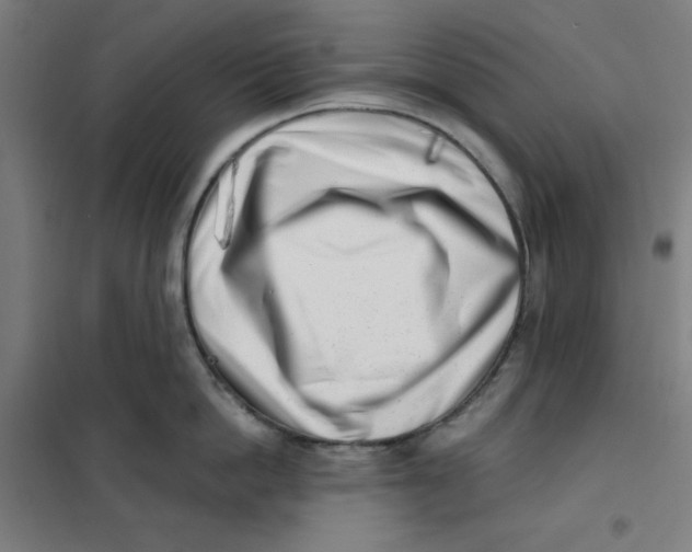 X0000101180862200807250938