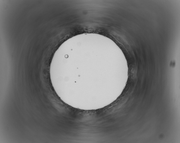 X0000101180865200807250937