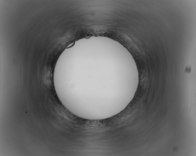 X0000101180866200807250937