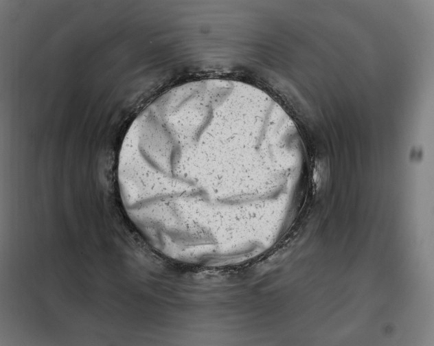 X0000101180867200807250937