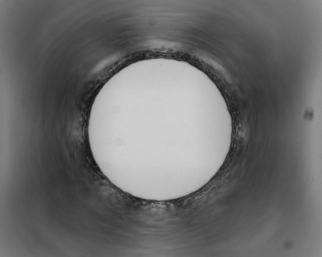 X0000101180869200807250937