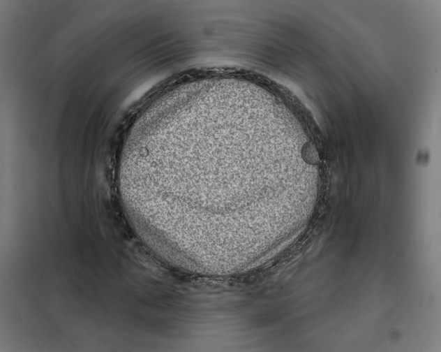 X0000101180871200807250937