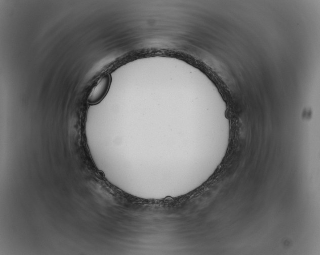 X0000101180872200807250937