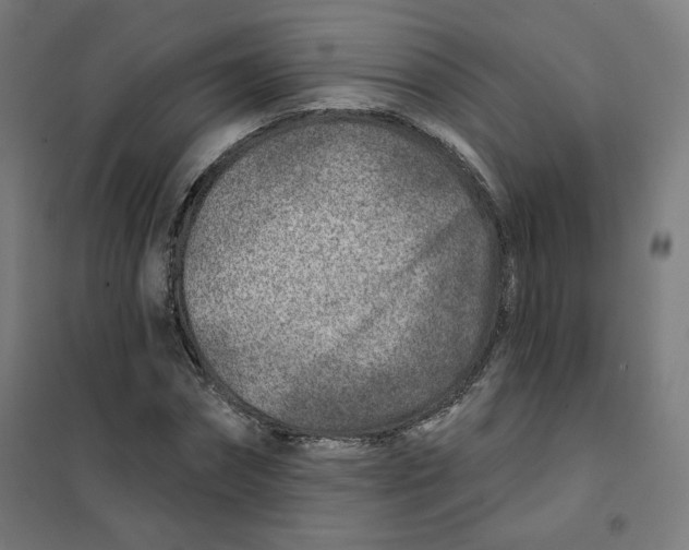 X0000101180874200807250937