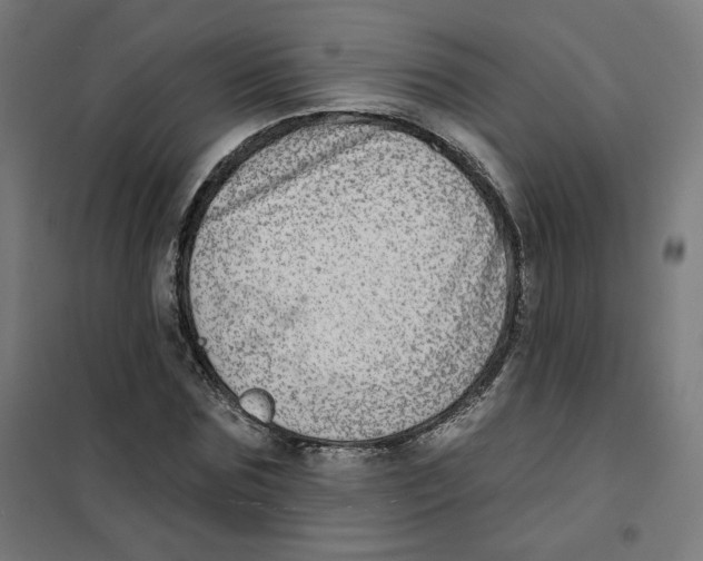 X0000101180875200807250937