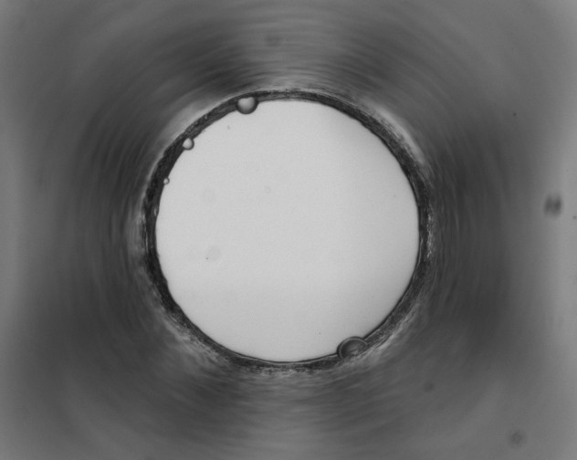 X0000101180876200807250937