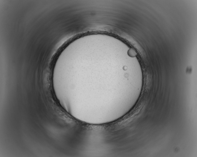 X0000101180878200807250937