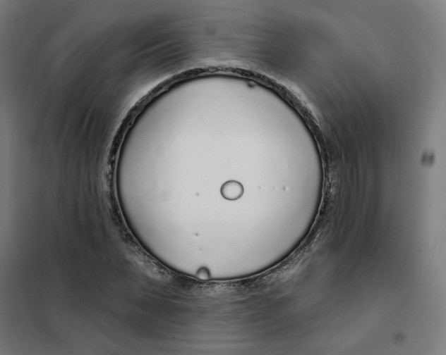 X0000101180879200807250937