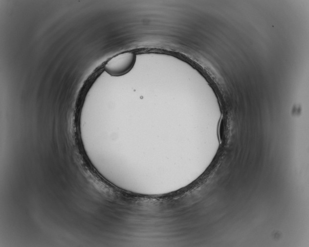 X0000101180880200807250937