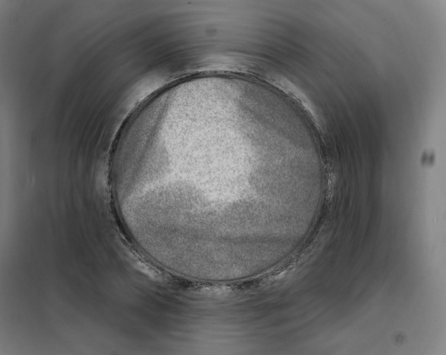 X0000101180882200807250937