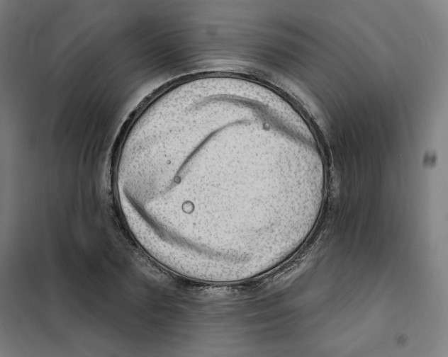 X0000101180883200807250937