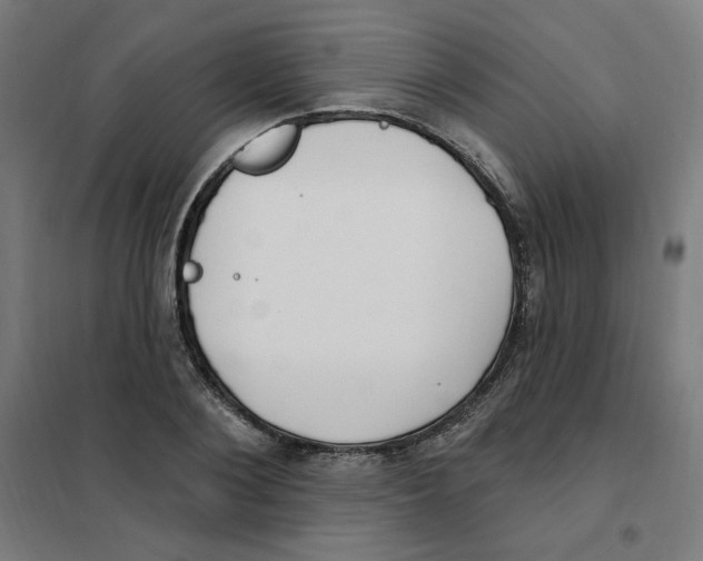 X0000101180884200807250937