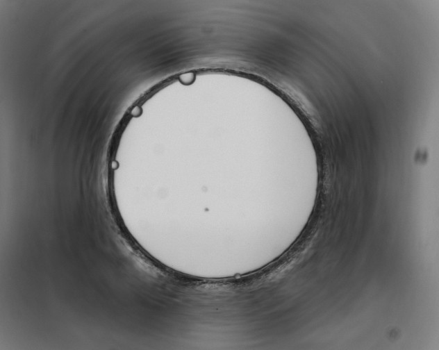 X0000101180888200807250937