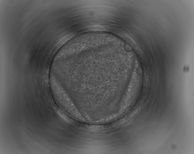 X0000101180889200807250937