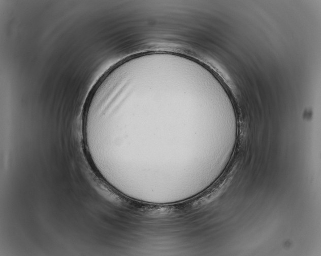 X0000101180891200807250937