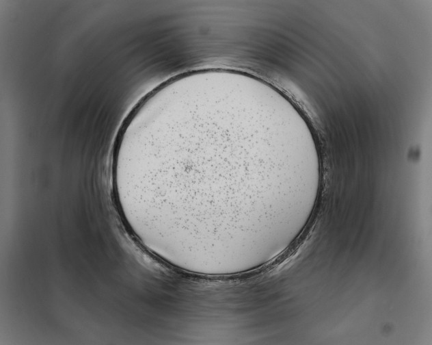 X0000101180892200807250937