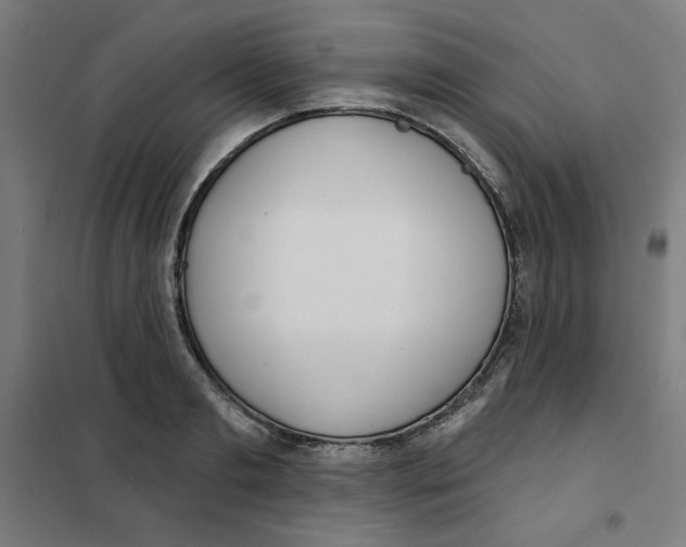 X0000101180893200807250937