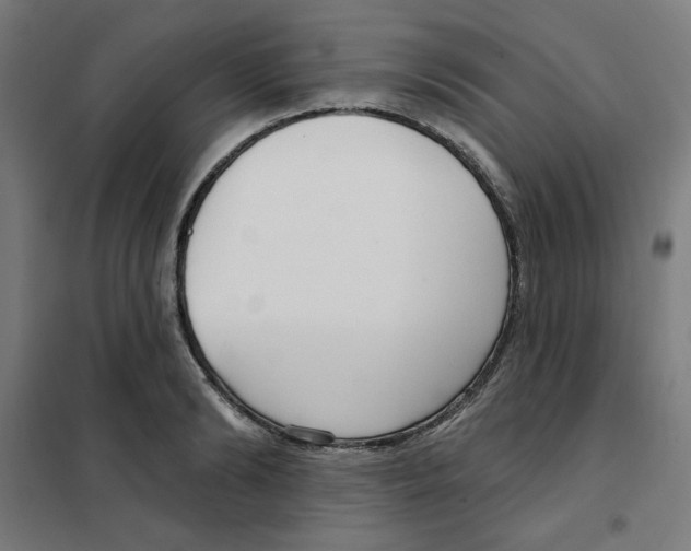 X0000101180894200807250937