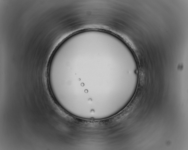 X0000101180895200807250937