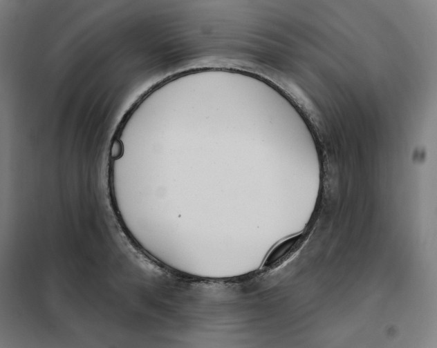 X0000101180896200807250937