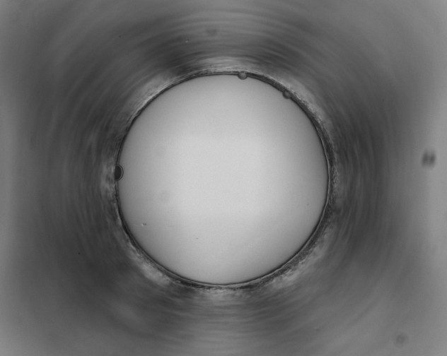 X0000101180897200807250937