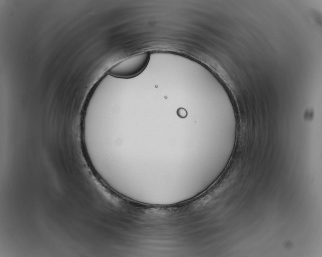 X0000101180898200807250937