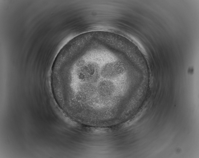 X0000101180899200807250937