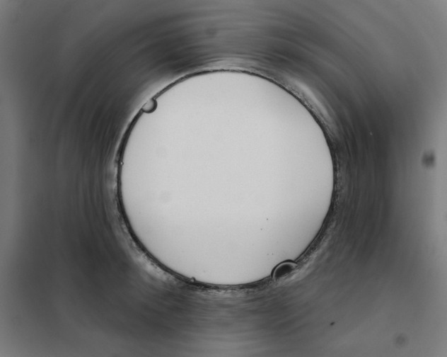 X0000101180900200807250937