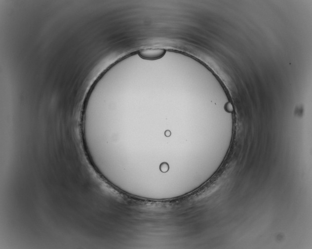 X0000101180901200807250937