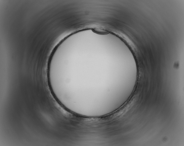 X0000101180902200807250937