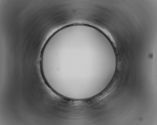 X0000101180903200807250937