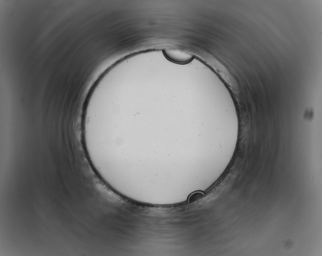 X0000101180904200807250937