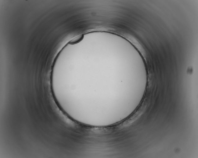 X0000101180906200807250937