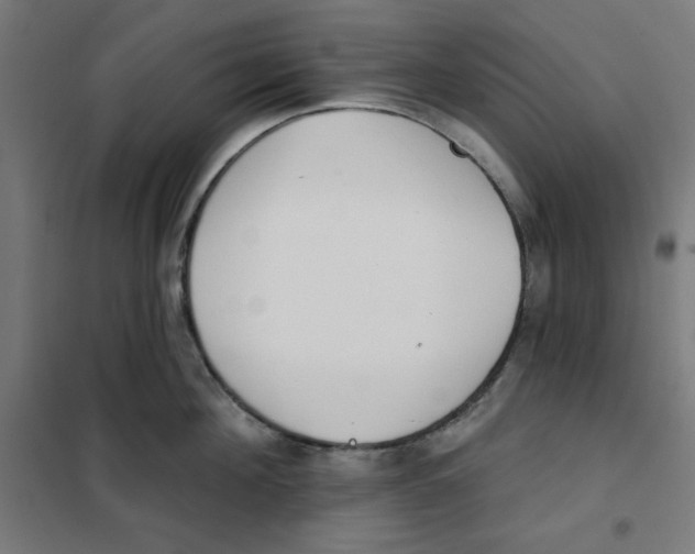 X0000101180908200807250937