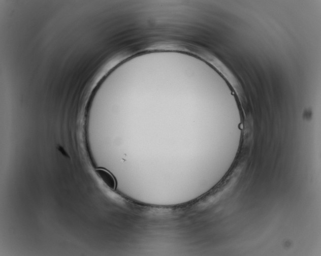 X0000101180909200807250937