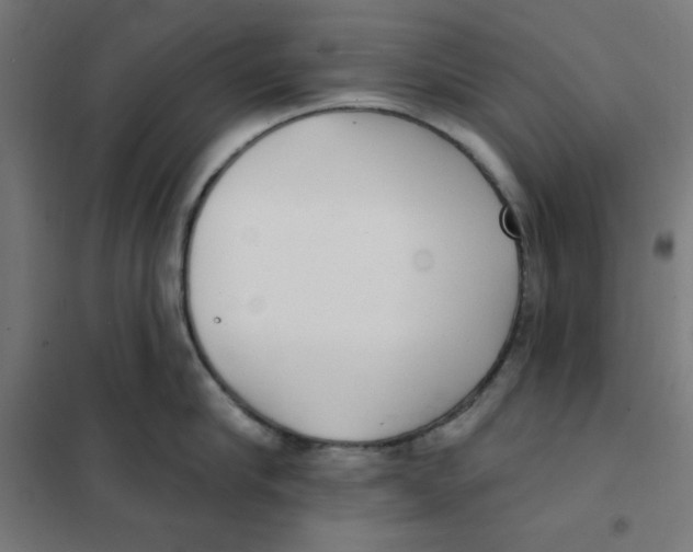 X0000101180910200807250937