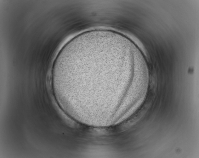 X0000101180911200807250937