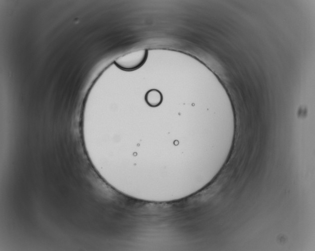 X0000101180912200807250937