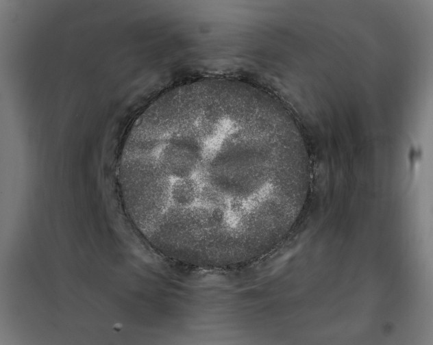 X0000101180913200807250936