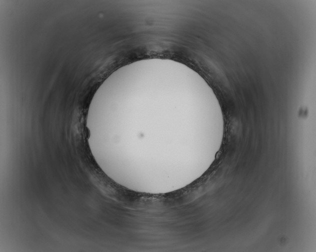 X0000101180914200807250936